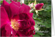 Grandparents Day for Gramsie with Red Rose and Rose Bud card