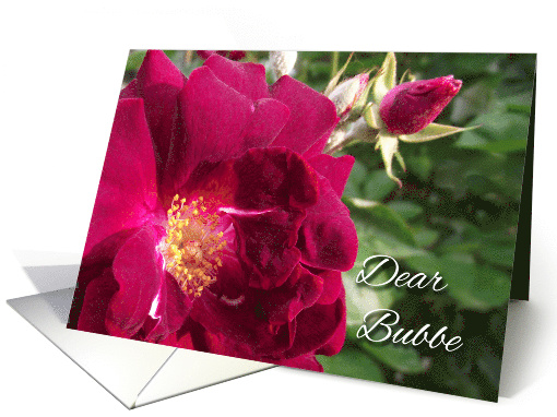 Grandparents Day for Bubbe with Red Rose and Rose Bud card (939502)