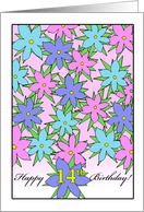Fourteen Years Old, Birthday Flowers Design in Pink and Blue card