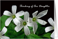 Daughter Thinking of You with White Shamrock Flowers card