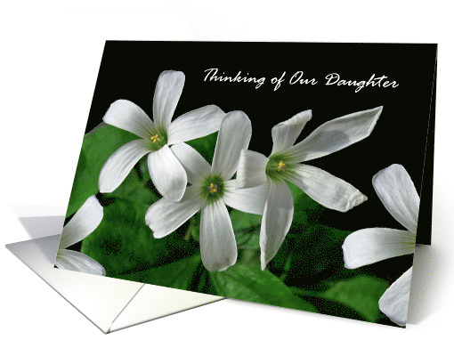 Our Daughter Encouragement with White Shamrock Flowers card (980785)