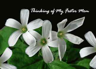 Foster Mom Thinking of You with White Shamrock Flowers