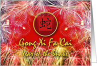 Chinese New Year of the Snake Gong Xi Fa Cai with Fireworks card