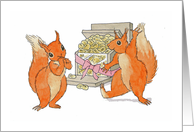 Squirrel gift card