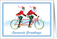 Seasons Greetings - Holiday Couple Tandem Bike card