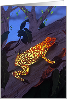 OrangeTree Frog at Night card