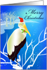 merry christmas, a stork with red hat and holly card