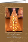 Merry Christmas to my dear Step Son & Daughter in Law, lighting tree card