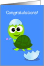 turtle new baby congratulations cards, new baby turtle hatch frm shell card