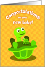 turtle new baby congratulations cards, a baby turtle on top of turtle card