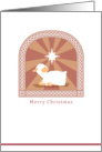 merry christmas, lamb card