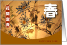 Chinese New year, lantern card