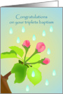 congratulations on your triplets baptism, flower bugs card