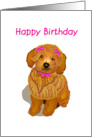 brown toy poodle, happy birthday, card