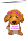 brown toy poodle, happy birthday, card