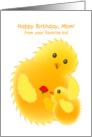 happy birthday, mom! from your favorite kid. a chick send a flower card