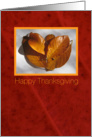 Happy Thanksgiving, autumn leafs in love shape card