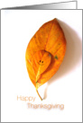 Happy Thanksgiving, autumn leaf with smile face on it. card