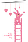 happy valentine’s Day, a pink bunny try to get a love from the high card