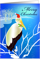 merry christmas, a stork with red hat and holly card