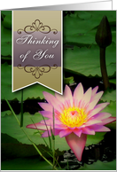 thinking you, lotus flower card