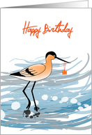 Avocet Birthday Cards