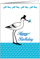 Avocet Birthday Cards