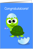 turtle new baby congratulations cards, new baby turtle hatch frm shell card