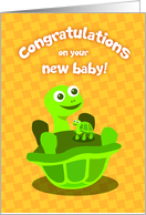 turtle new baby congratulations cards, a baby turtle on top of turtle card