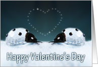 happy valentine’s day- ladybird love card