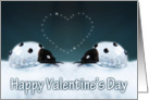 happy valentine’s day- ladybird love card
