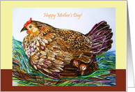 Happy mother’s day, chicken, hen card
