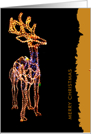 merry christmas, decoration, deer card