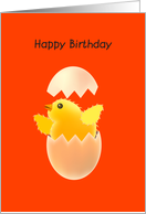 happy birthday, chick card