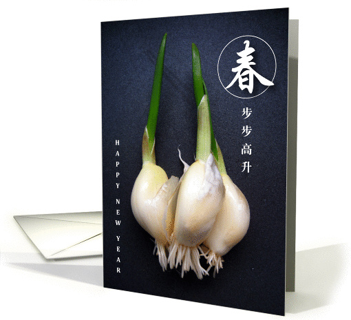 Chinese New year, a growing garlic, spring card (841501)