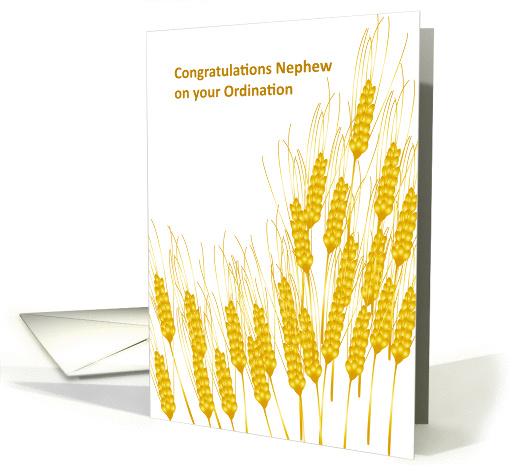 congratulations, nephew, ordination, grain card (843240)