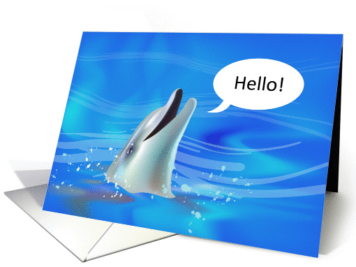 occasions, hello! dolphin card (848198)