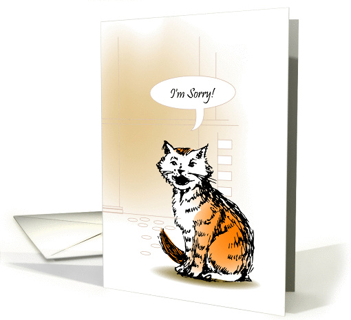 occasions, i'm sorry, kitten card (848200)