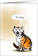 occasions, i’m sorry, kitten card