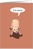 occasions, i’m sorry, pig card