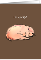 occasions, i’m sorry, pig card