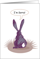 occasions, i’m sorry, rabbit card