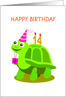 happy birthday, turtle, 14 card