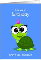 happy birthday, turtle, 14 card