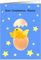 buon compleanno, nipote card