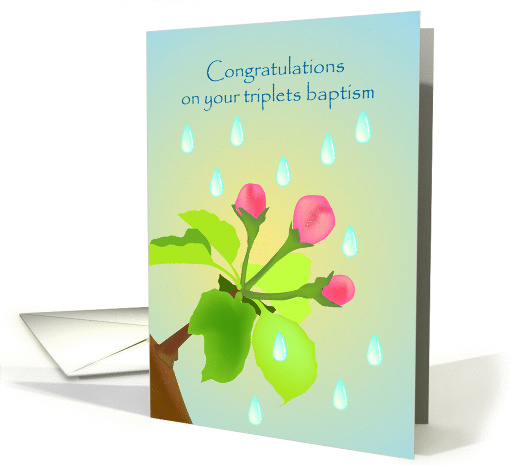 congratulations on your triplets baptism, flower bugs card (865697)