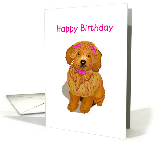brown toy poodle, happy birthday, card (872127)
