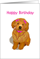 brown toy poodle, happy birthday, card