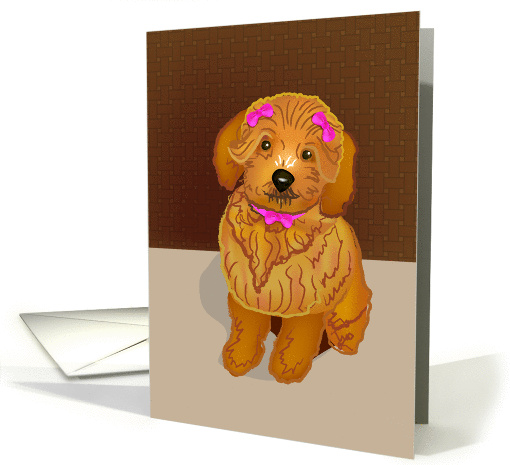 brown toy poodle, blank, card (872129)