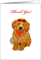 brown toy poodle, thank you, card